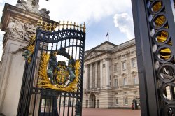 Vstup do Buckinghamského paláce